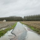 Chemin vers ferme de la loge, n° 2