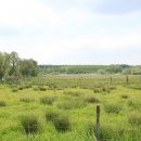 Marais de Sonneville, entrée du village sur la D299 en venant de Warlaing