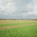 La Polka, chemin des Postes