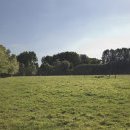 Chemin du bourgonguier