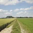 Les 4 drèves Les 4 drèves