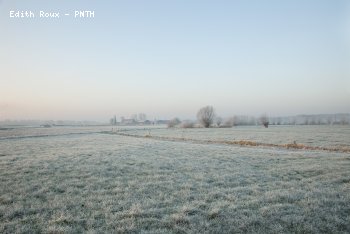 Campagne Hiver 2009/2010