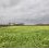 Campagne Hiver 2009/2010