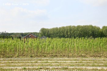 Campagne Printemps 2009