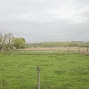 Marais de Sonneville, entrée du village sur la D299 en venant de Warlaing