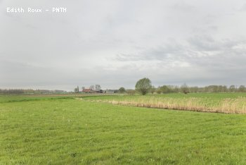 Campagne Printemps 2011
