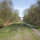 Arenberg, drève des boules d’Hérin, pavé d’Arenberg