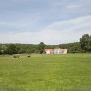 D955 en face de la ferme d’Hertain