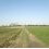 Campagne Printemps 2011