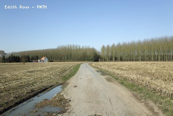 Campagne Printemps 2011