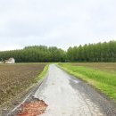Chemin vers ferme de la loge, n° 2