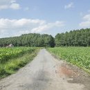 Chemin vers ferme de la loge, n°&nbsp;2