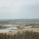 Site 