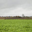 Chemin vers Fossé bauché, n° 12 Chemin vers Fossé bauché, n° 12
