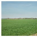 Chemin d’Hélesmes