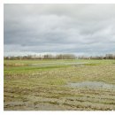 Pont du Petit Caillou, chemin agricole qui donne sur la D35