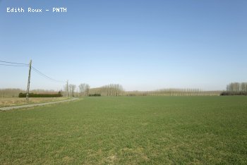 Campagne Printemps 2011