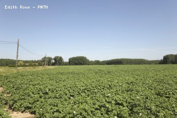 Campagne Eté 2014