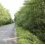 Campagne Printemps 2009