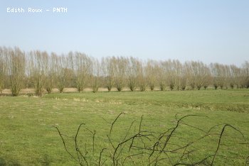 Campagne Printemps 2011