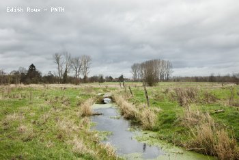 Campagne Hiver 2009/2010