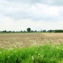 Route longeant l’entrée de la E42 depuis Peruwelz vers Tournai