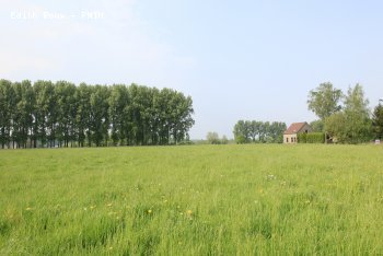 Campagne printemps 2009