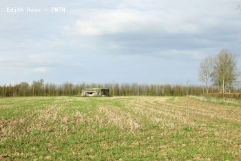 Campagne Printemps 2009