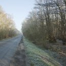 Bois des Eclusettes, RD 99 Bois des Eclusettes, RD 99