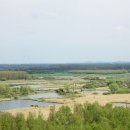 Site 