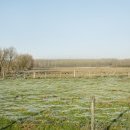 Marais de Sonneville, entrée du village sur la D299 en venant de Warlaing Marais de Sonneville, entrée du village sur la D299 en venant de Warlaing