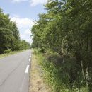 Bois des Eclusettes, RD 99