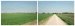 Campagne Printemps 2011