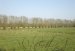 Campagne Printemps 2011