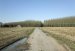 Campagne Printemps 2011