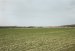 Campagne Printemps 2011