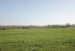 Campagne Printemps 2011
